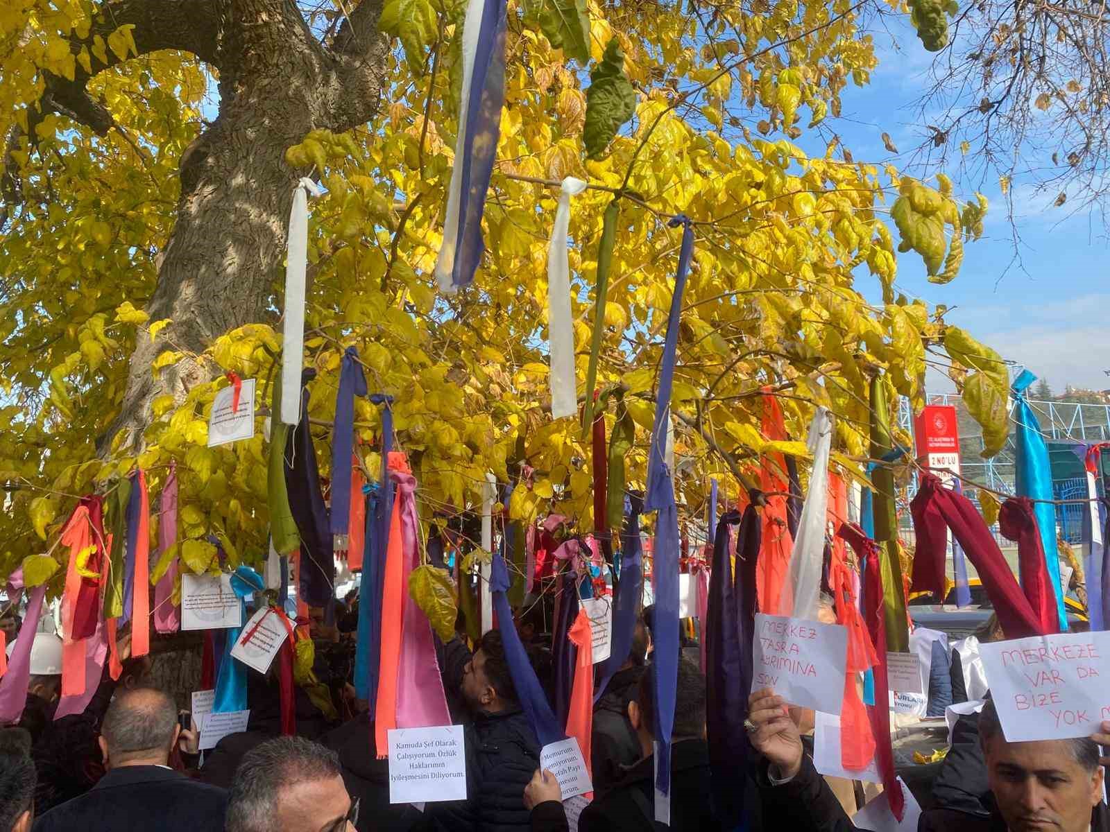 memurlar bakanligin onundeki agaci dilek agacina cevirdi 5 nqLWCgQf