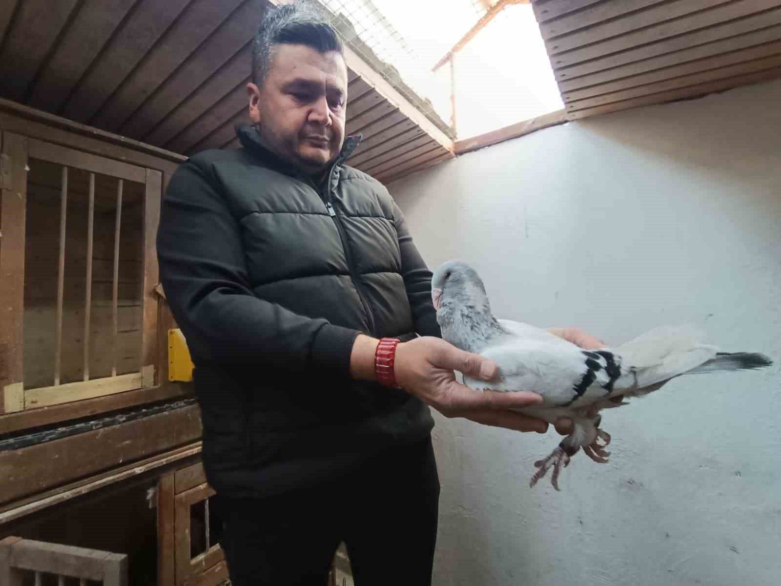 memurlugu birakip guvercin yetistiricisi oldu otomobil fiyatina satiyor 3