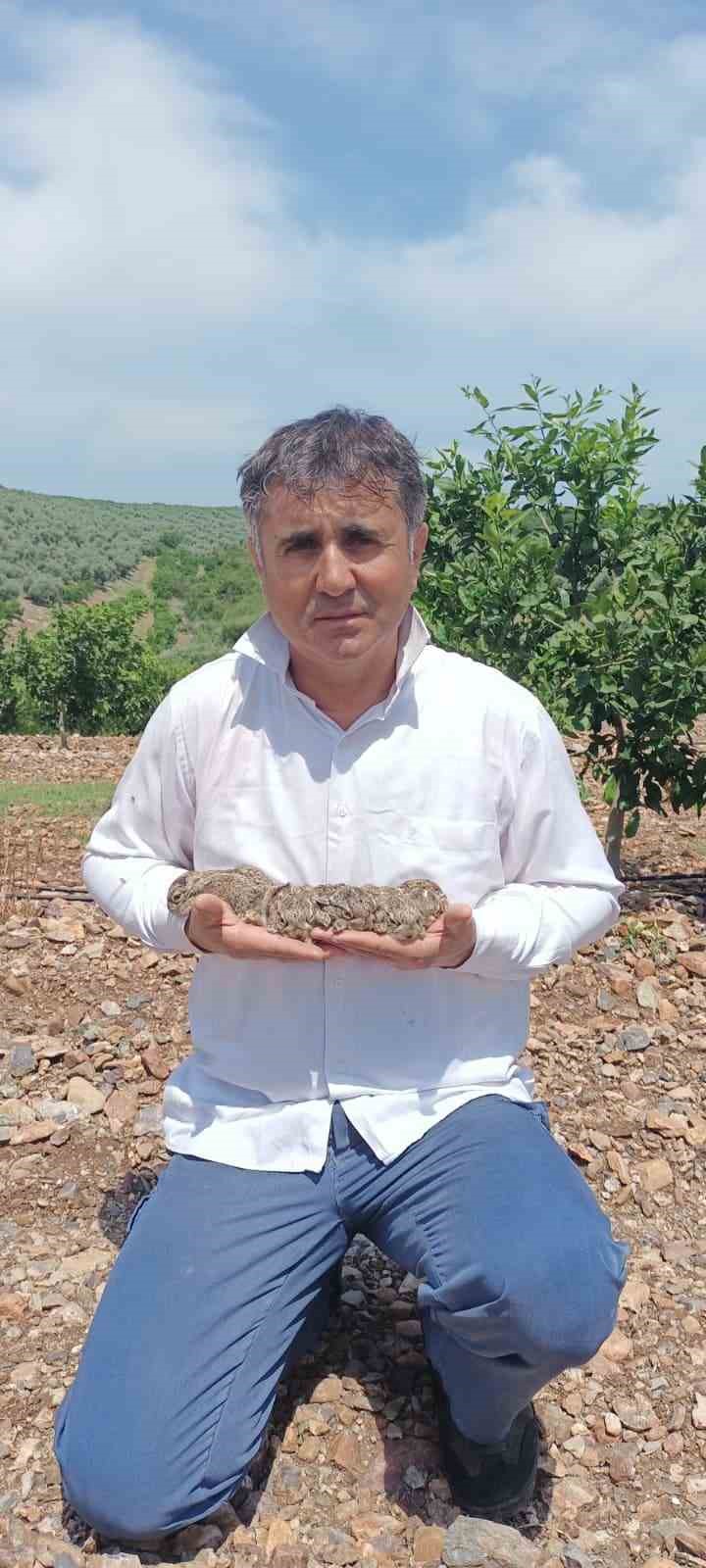 Merhametli çiftçi, yılların emeğine kemirerek zarar veren tavşanları "Bunlar şimdi hazırlanıyor, Doğan’ın fidanını nasıl yiyeceğim diye düşünüyor" diyerek elleriyle yakaladı 6 merhametli ciftci yillarin emegine kemirerek zarar veren tavsanlari bunlar simdi hazirlaniyor doganin fidanini nasil kBsDbCgf