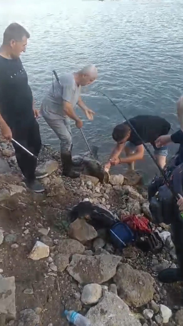 meric nehrinde yakaladigi 30 kiloluk yayin baligini nehirde oltasi ile gezdirdi 1 PLBcZmhc