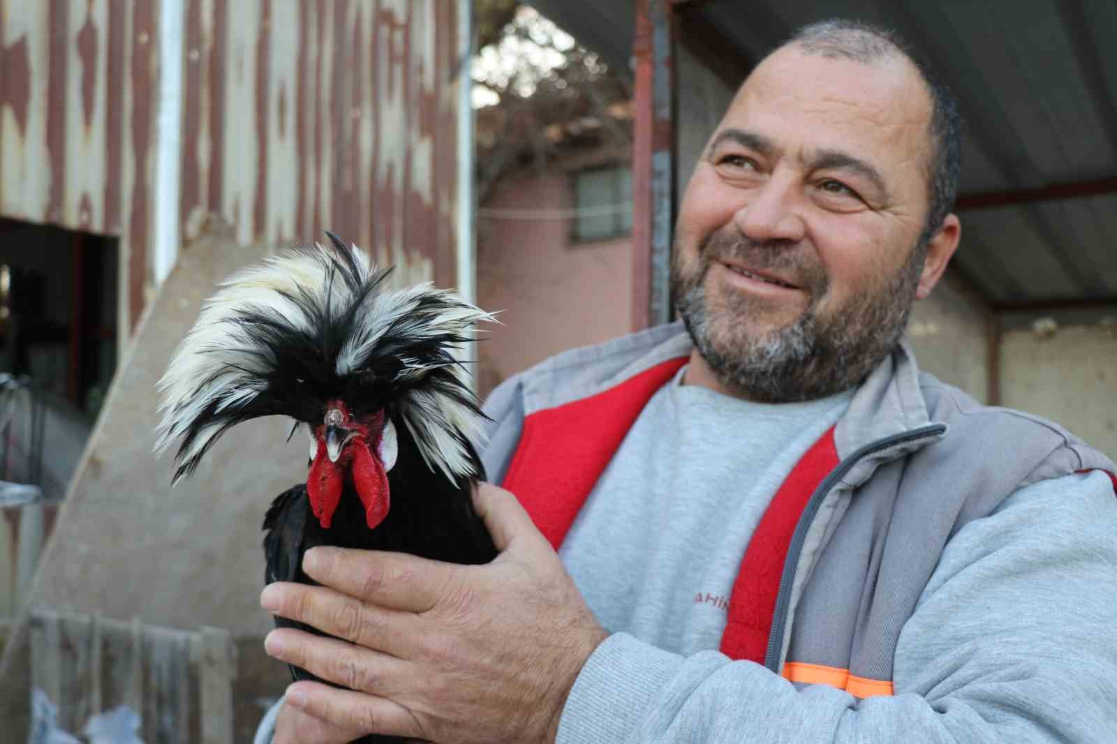 Mermer fabrikasında egzotik mesai: Farklı ırklardaki tavuklar burada yetişiyor 6 mermer fabrikasinda egzotik mesai farkli irklardaki tavuklar burada yetisiyor 2