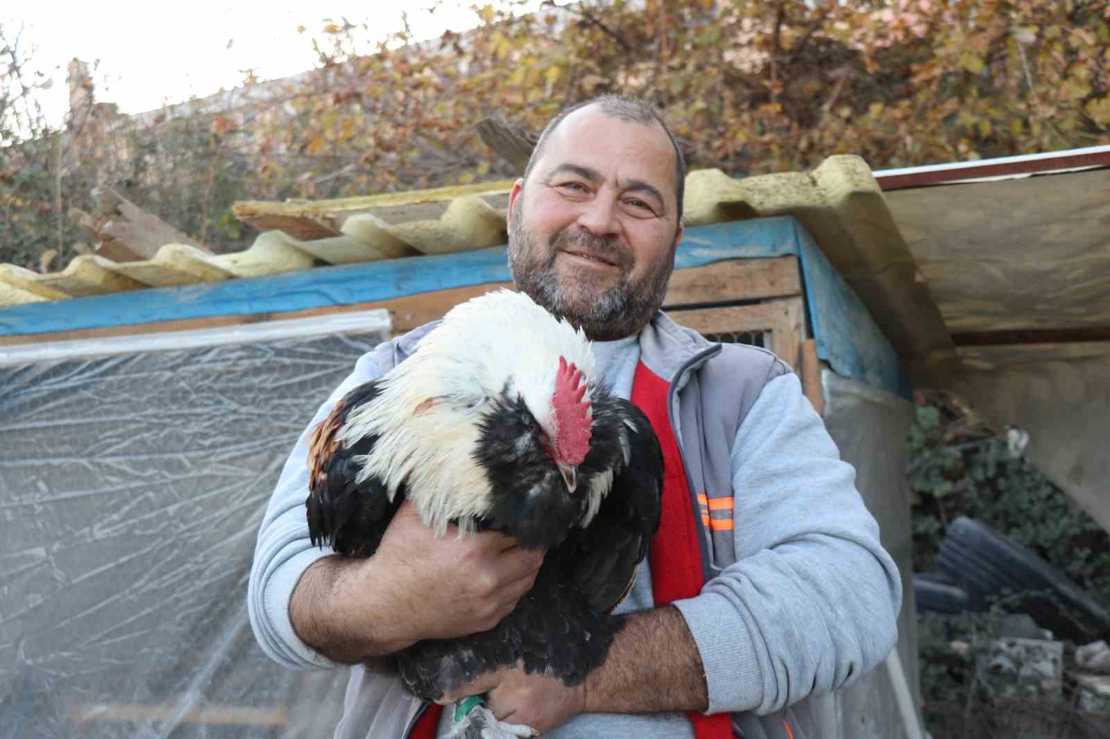 Mermer fabrikasında egzotik mesai: Farklı ırklardaki tavuklar burada yetişiyor 12 mermer fabrikasinda egzotik mesai farkli irklardaki tavuklar burada yetisiyor 8 pBYvH28g
