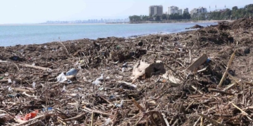mersin-sahillerinde-selin-denize-tasidigi-balciklar-temizleniyor-7lxTPXzi.jpg