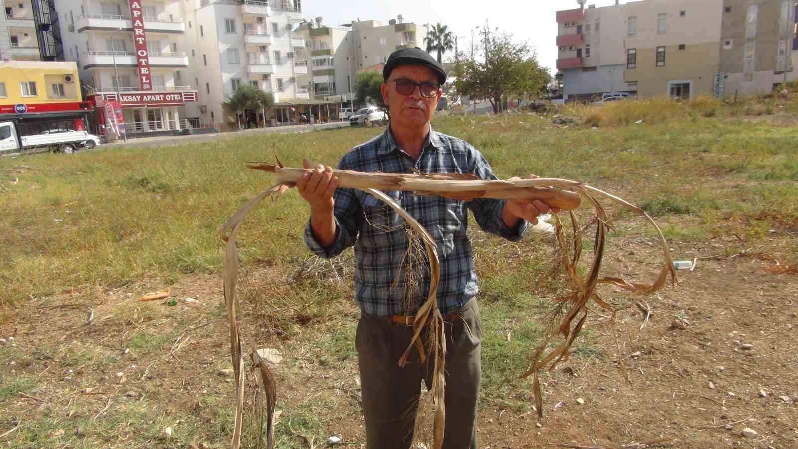 Mersin’de bir kişi yer altı su kaynaklarını bulabiliyor, bulduğunda elektrik çarpmışa dönüyor 5 mersinde bir kisi yer alti su kaynaklarini bulabiliyor buldugunda elektrik carpmisa donuyor 1 aP8aLYwm