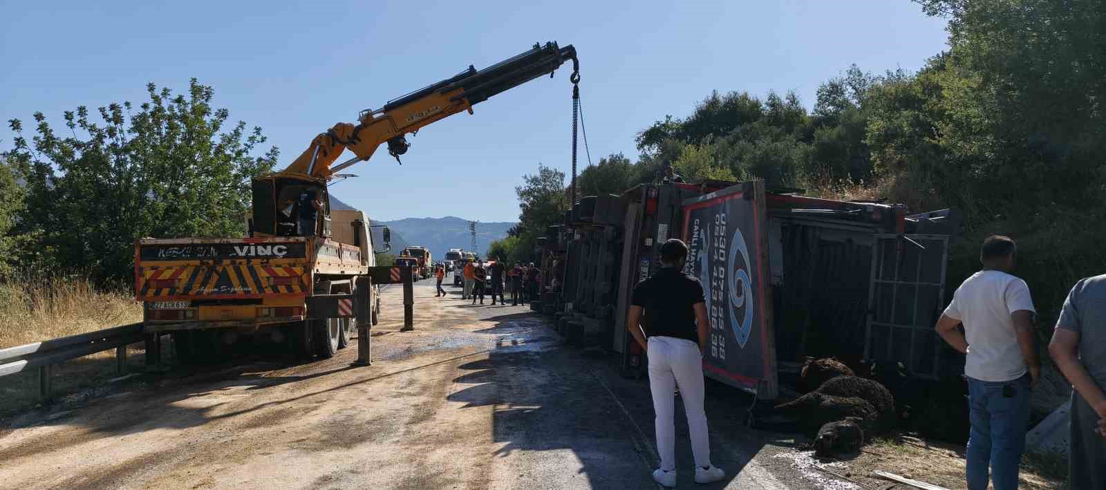 mersinde buyukbas hayvan yuklu tir devrildi cok sayida hayvan telef oldu 0 zNKTLyi6