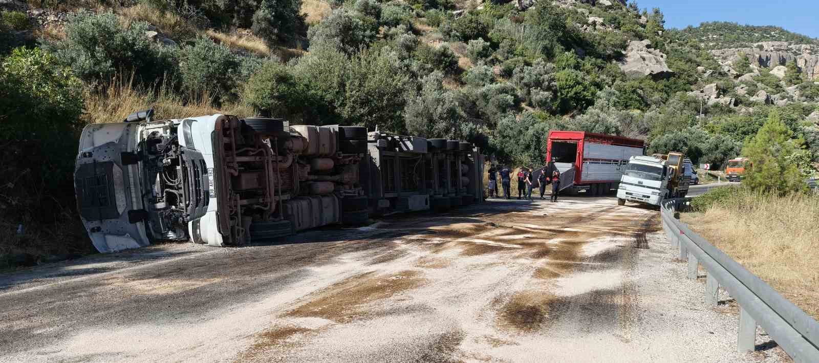 mersinde buyukbas hayvan yuklu tir devrildi cok sayida hayvan telef oldu 2 sUXRLnU4