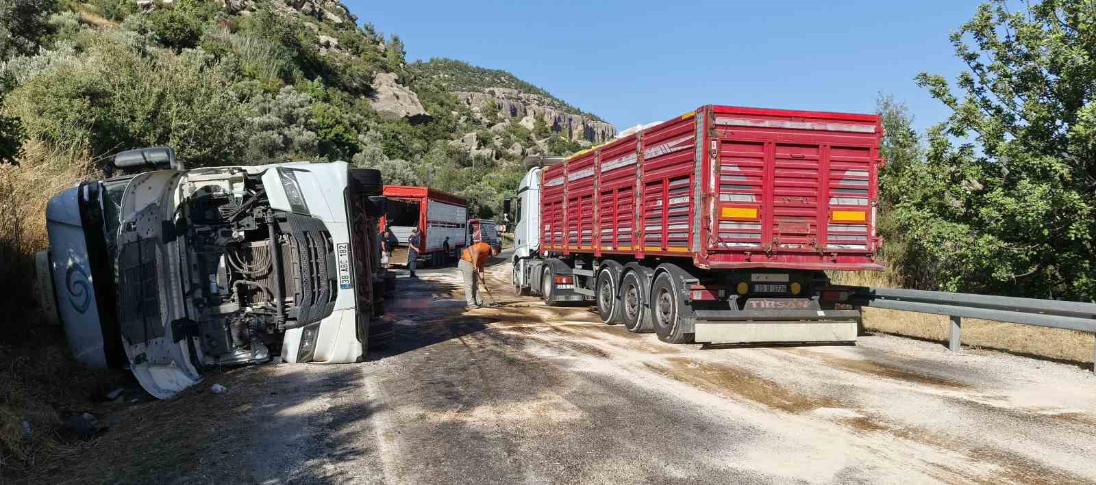 mersinde buyukbas hayvan yuklu tir devrildi cok sayida hayvan telef oldu 4 tc3mtbfR