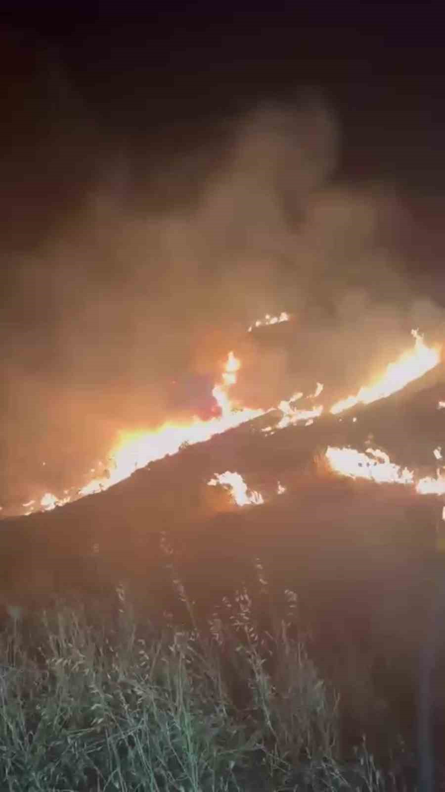 mersinde cop sahasinda cikan yangin ormanlik alana sicradi 1 sVenPAm8