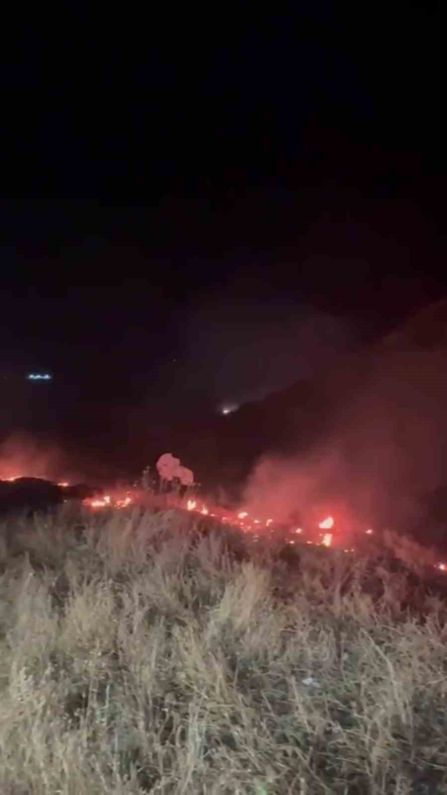 mersinde cop sahasinda cikan yangin ormanlik alana sicradi 2 FRnsWVJe