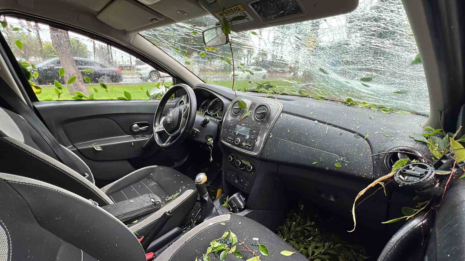 Mersin’de devrilen ağaç, seyir halindeki 3 araca zarar verdi 8 mersinde devrilen agac seyir halindeki 3 araca zarar verdi 4 kHTGktgK
