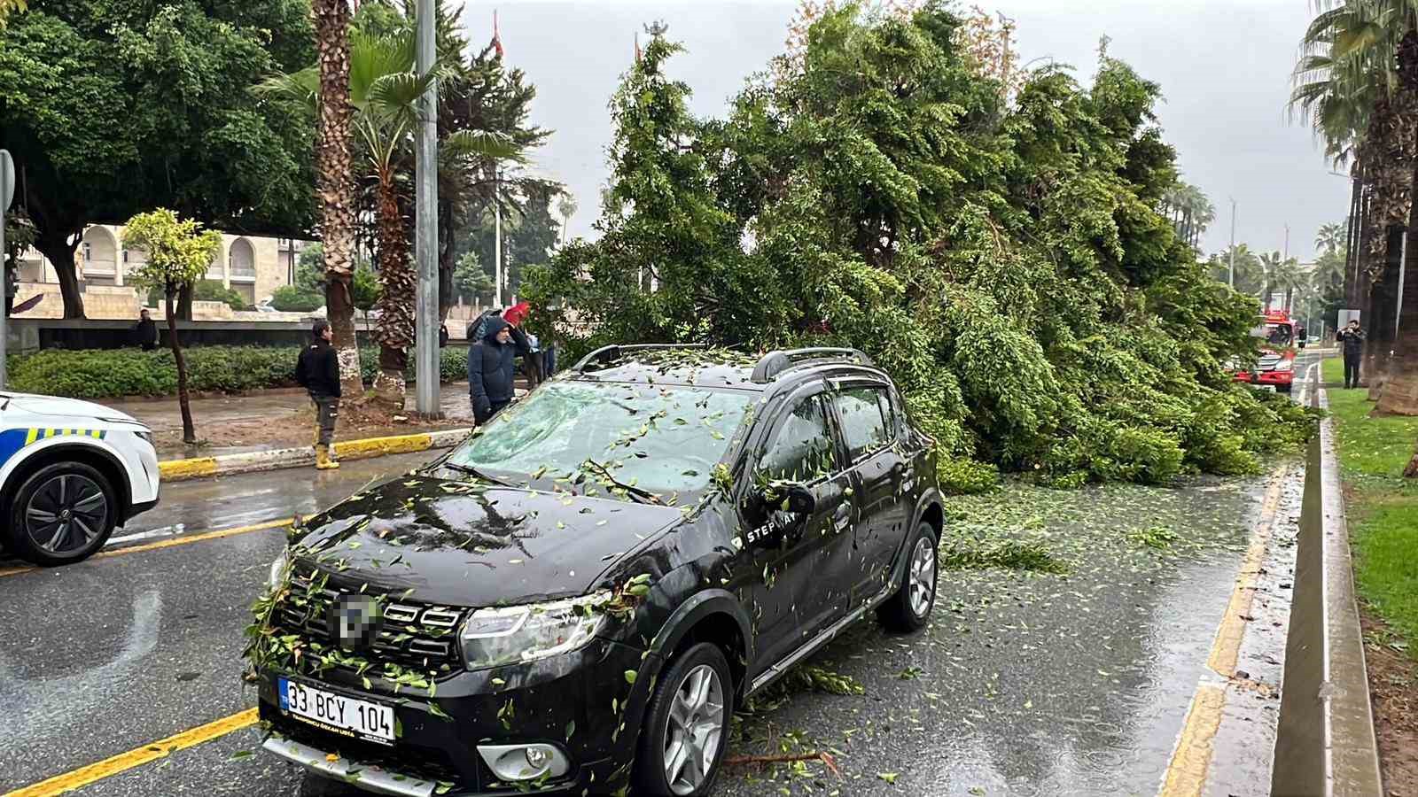 Mersin’de devrilen ağaç, seyir halindeki 3 araca zarar verdi 9 mersinde devrilen agac seyir halindeki 3 araca zarar verdi 5 dU5AQYn8