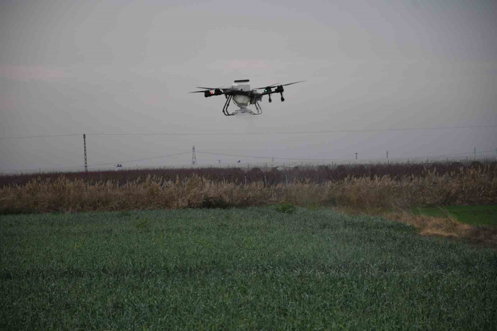 mersinde dronla gubreleme ve ilaclama ciftcinin zayiatini sifira indirdi zamandan tasarruf sagladi 2 LQb2eXUq