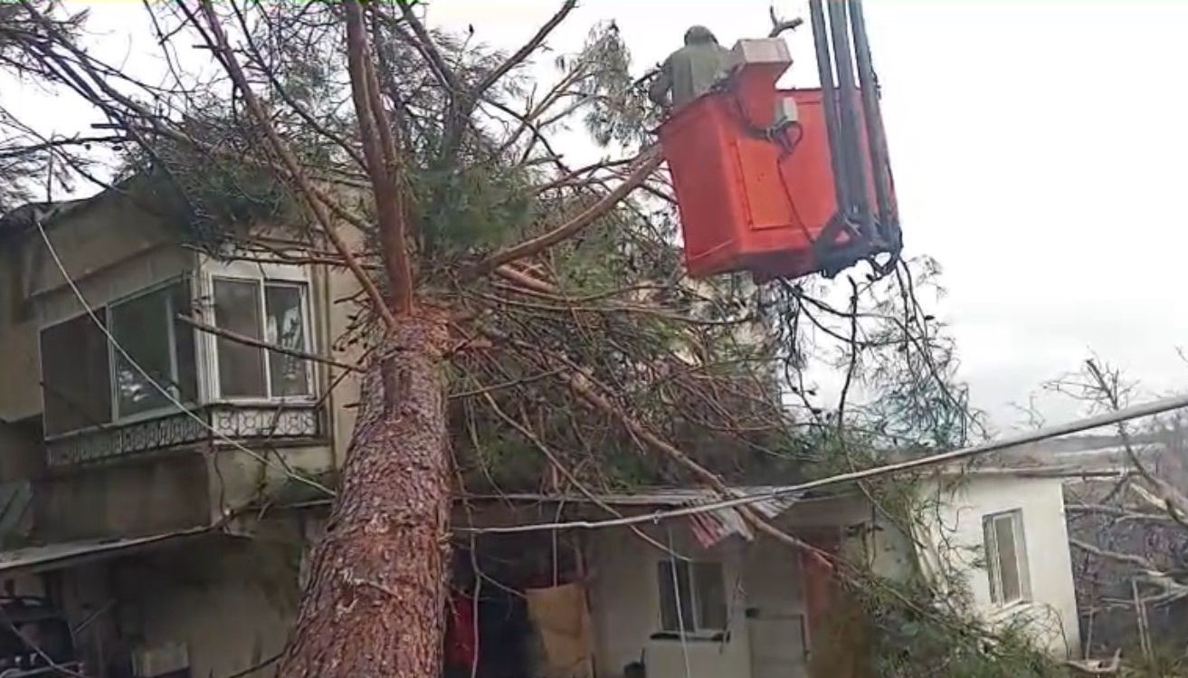 mersinde firtina etkili oluyor agac evin uzerine devrildi 0 kknPBSb8