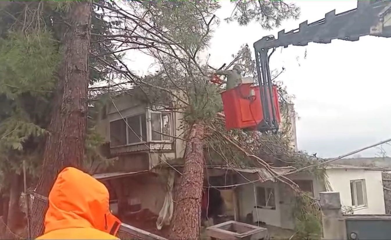 mersinde firtina etkili oluyor agac evin uzerine devrildi 2