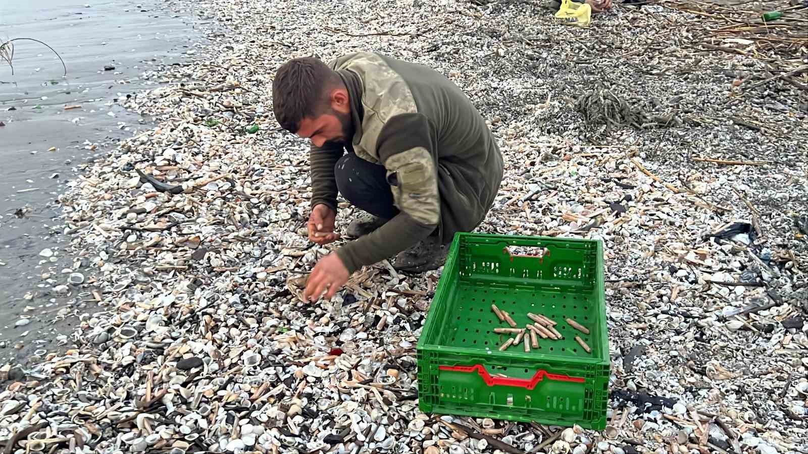 Mersin’de fırtına sonrası binlerce kargı midyesi sahile vurdu: Balıkçılar tek tek topladı 4 mersinde firtina sonrasi binlerce kargi midyesi sahile vurdu balikcilar tek tek topladi 0 ECYppYG1