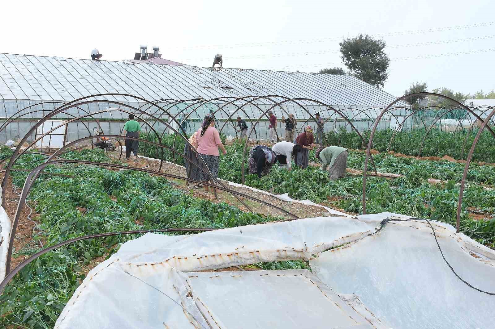 mersinde firtina ve hortum seralara zarar verdi 1