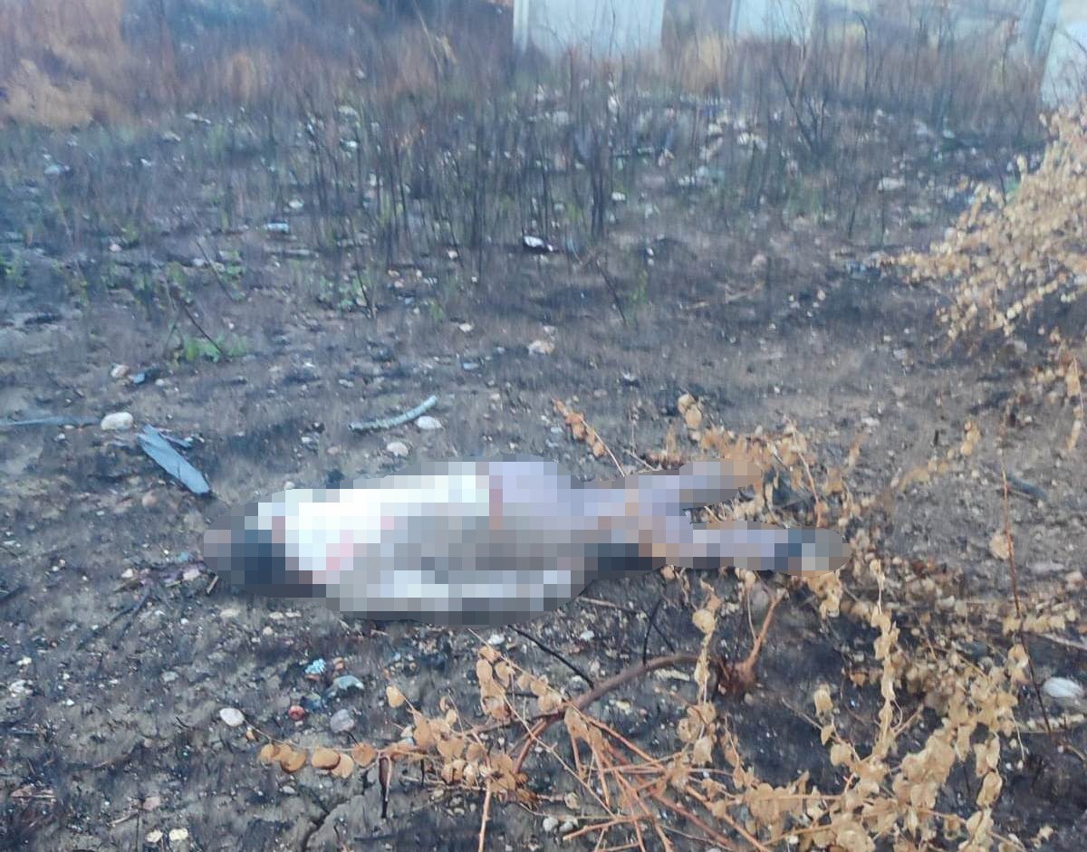 mersinde kaza yapan arac otoyolda surucusu 30 metrelik koprunun altinda olu bulundu 0 6Mb3NQfB