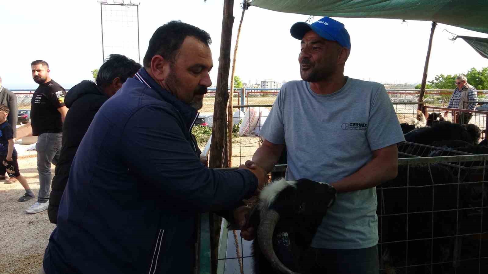 mersinde kurbanliklarda kiran kirana pazarliklar basladi 2