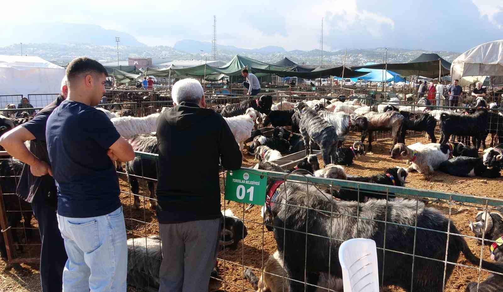 mersinde kurbanliklarda kiran kirana pazarliklar basladi 5