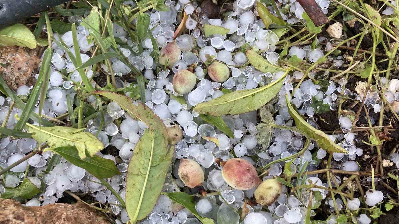 mersinde misket buyuklugunde dolu etkili oldu orman ve bahceler beyaza burundu 14 l6qYSKmI