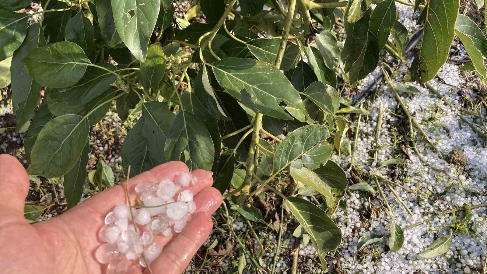 mersinde misket buyuklugunde dolu etkili oldu orman ve bahceler beyaza burundu 8