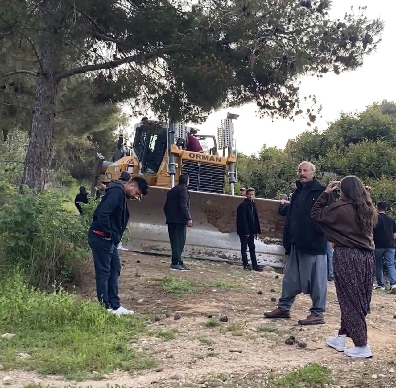 mersinde ormanlik alana ekili narenciye bahcelerinin kaldirilmasi kararina tepki 1 DJf59Ote