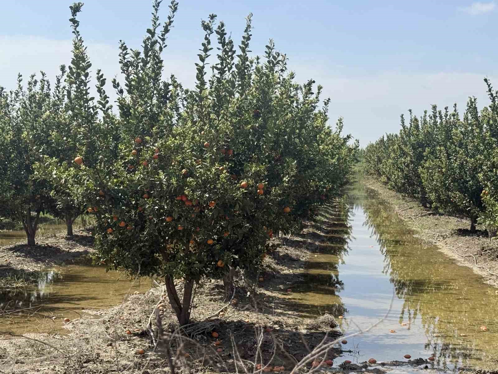 mersinde selin ardindan bahcelerde sular yeni cekildi 1 fqfM7jtf