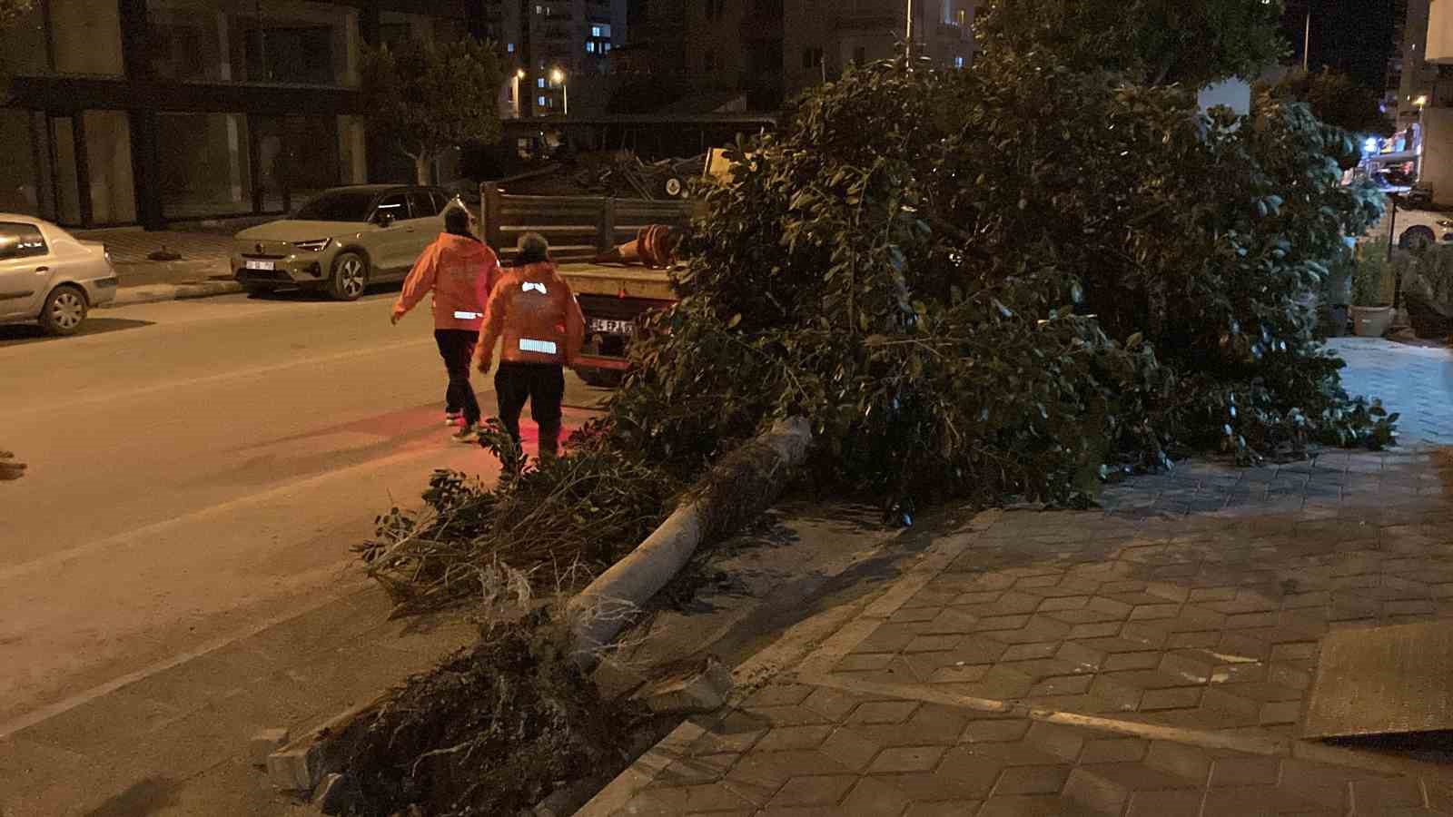 mersinde siddetli ruzgar agaclari devirdi 1 vjKi23iY