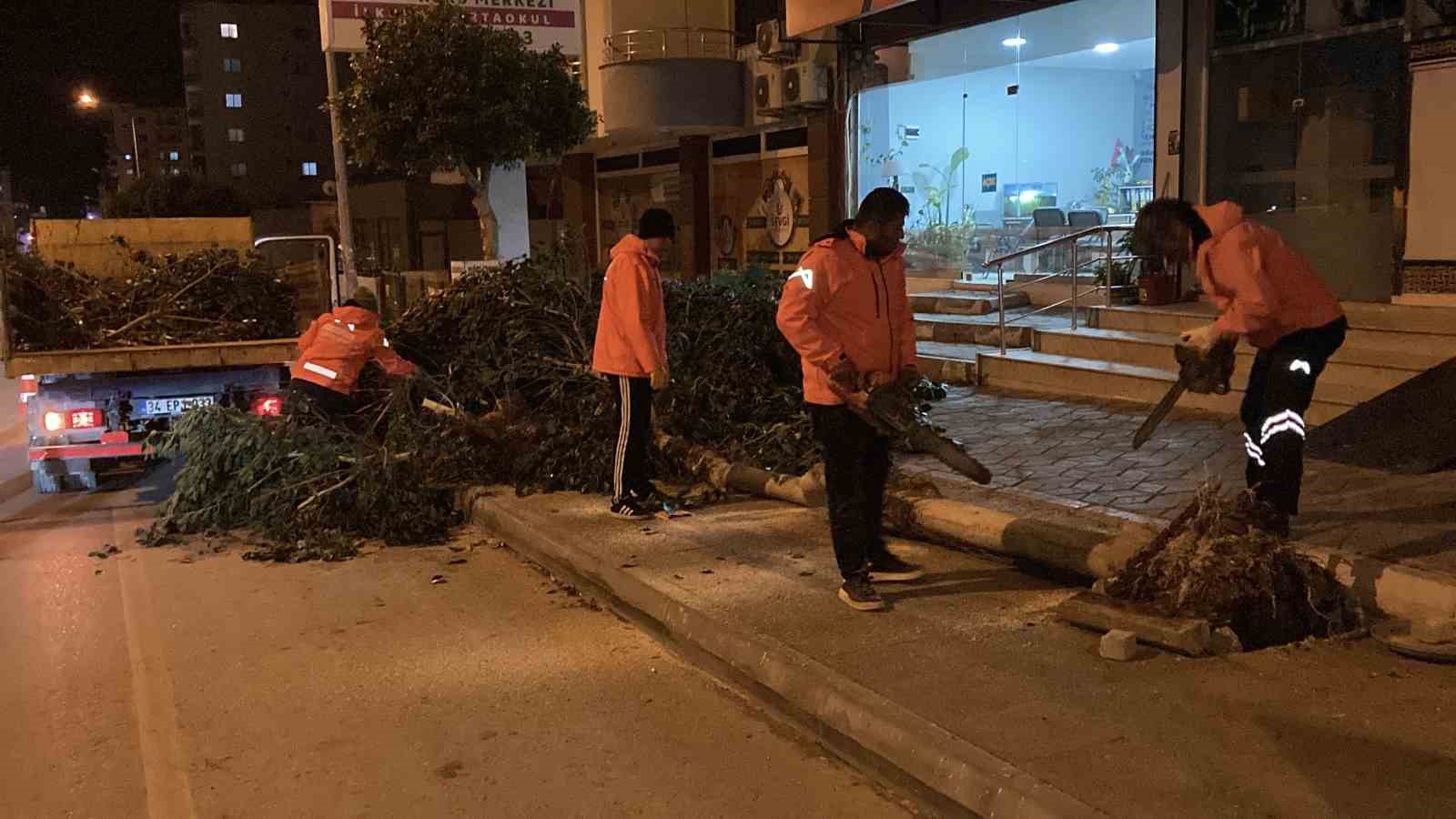 mersinde siddetli ruzgar agaclari devirdi 2