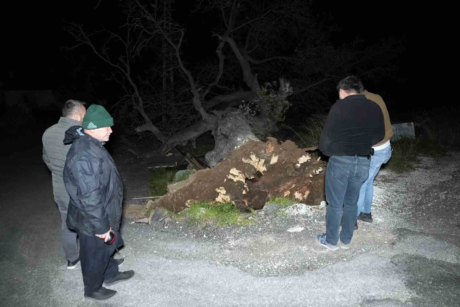 mersinde siddetli ruzgar catiyi ucurdu asirlik meseyi devirdi 8 4PpWbKSE
