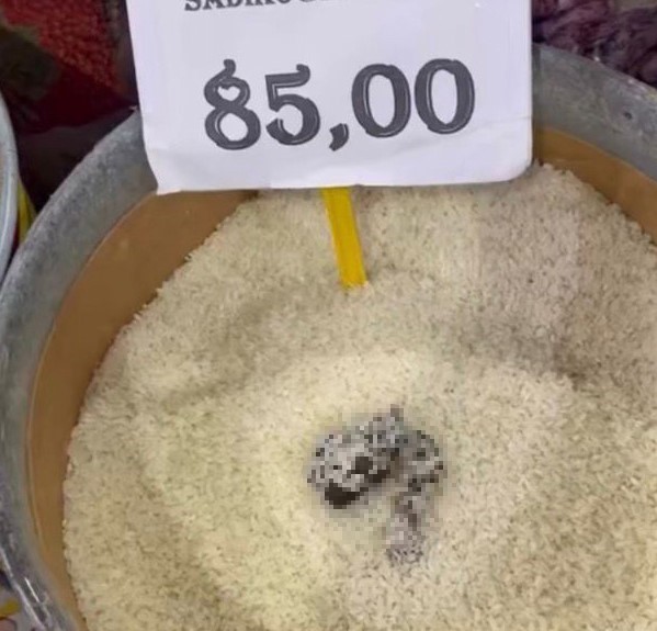 Mersin’de skandal görüntü: Pirinçten kedi dışkısı çıkan markete ceza 4 mersinde skandal goruntu pirincten kedi diskisi cikan markete ceza 0 KmTOcPn9