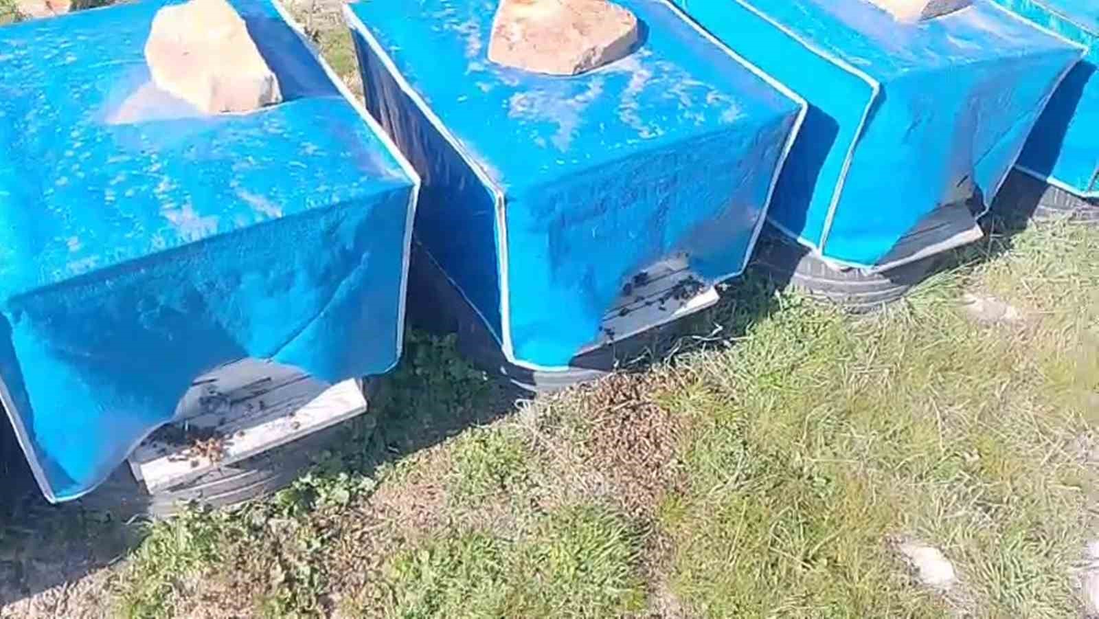 mersinde zamansiz zirai ilaclama arilarin olumune sebep oldu 0 irE51iff
