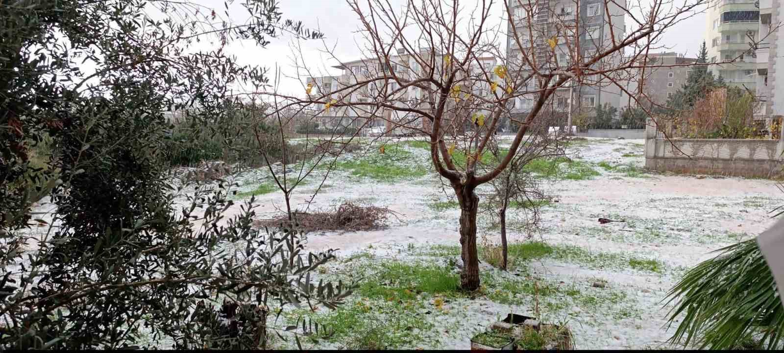 mersini dolu vurdu 1 yzUP7DSF