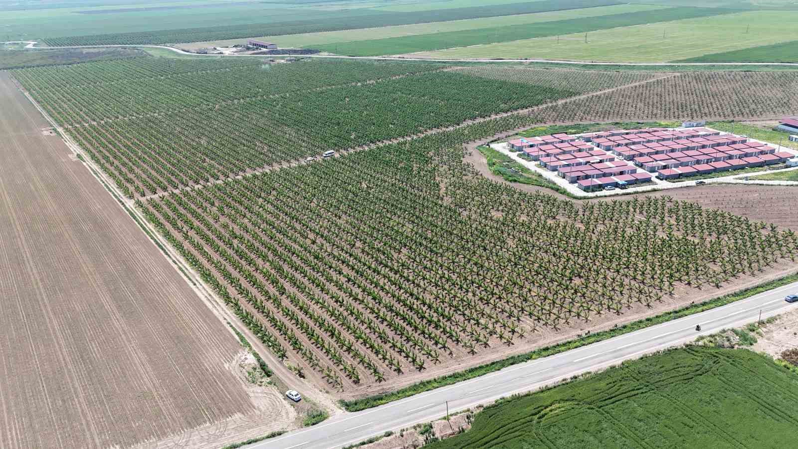 mesaileri baslayan tarim iscileri amik ovasinda bin 100 tl yevmiye alacak 4 Q5PTgMzJ