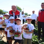 meshur-yenice-cileginin-hasadi-yapildi-nOMpQ4ad.jpg