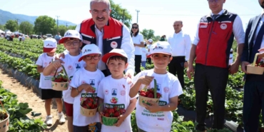 meshur-yenice-cileginin-hasadi-yapildi-nOMpQ4ad.jpg