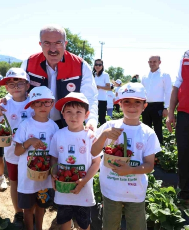 meshur-yenice-cileginin-hasadi-yapildi-nOMpQ4ad.jpg