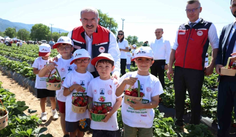 meshur-yenice-cileginin-hasadi-yapildi-nOMpQ4ad.jpg