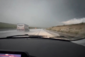 Aynı bölgede ikinci vaka: Deniz kaplumbağasının ayağına taş bağladılar 1 thumbnail