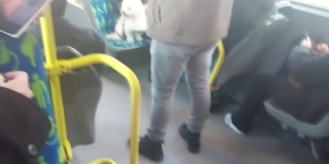 metrobuste-kopek-koltukta-oturdu-sosyal-medyada-tartisma-basladi-V6cExhW1.jpg