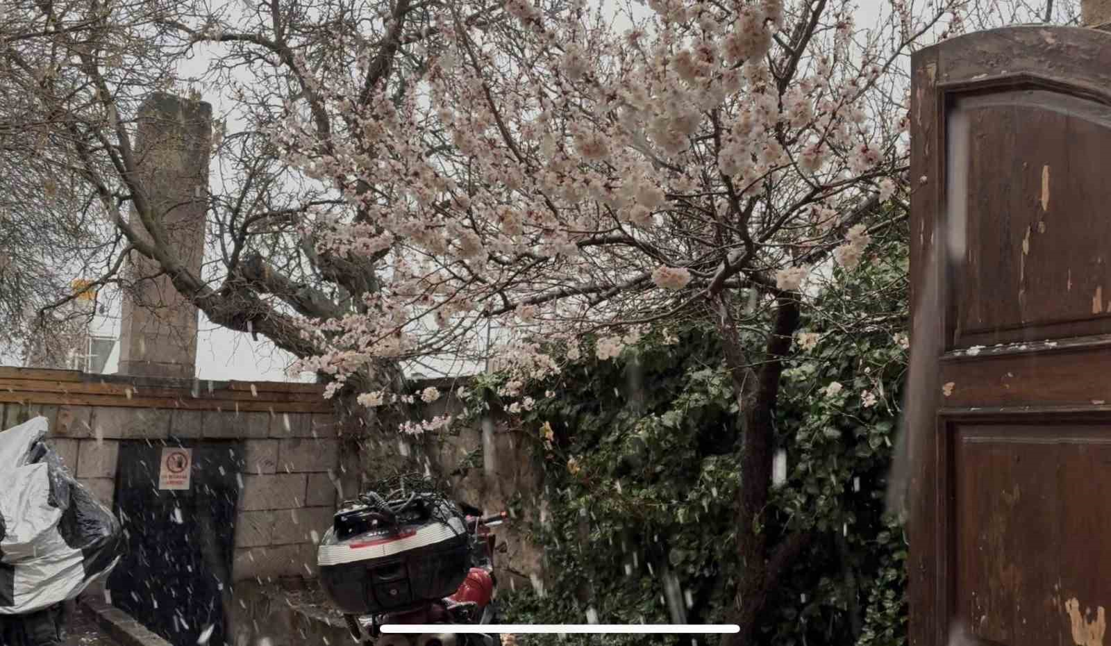 meyve agaclarinin cicek actigi guzelyurtta kar yagisi 4 KbTlhlLR