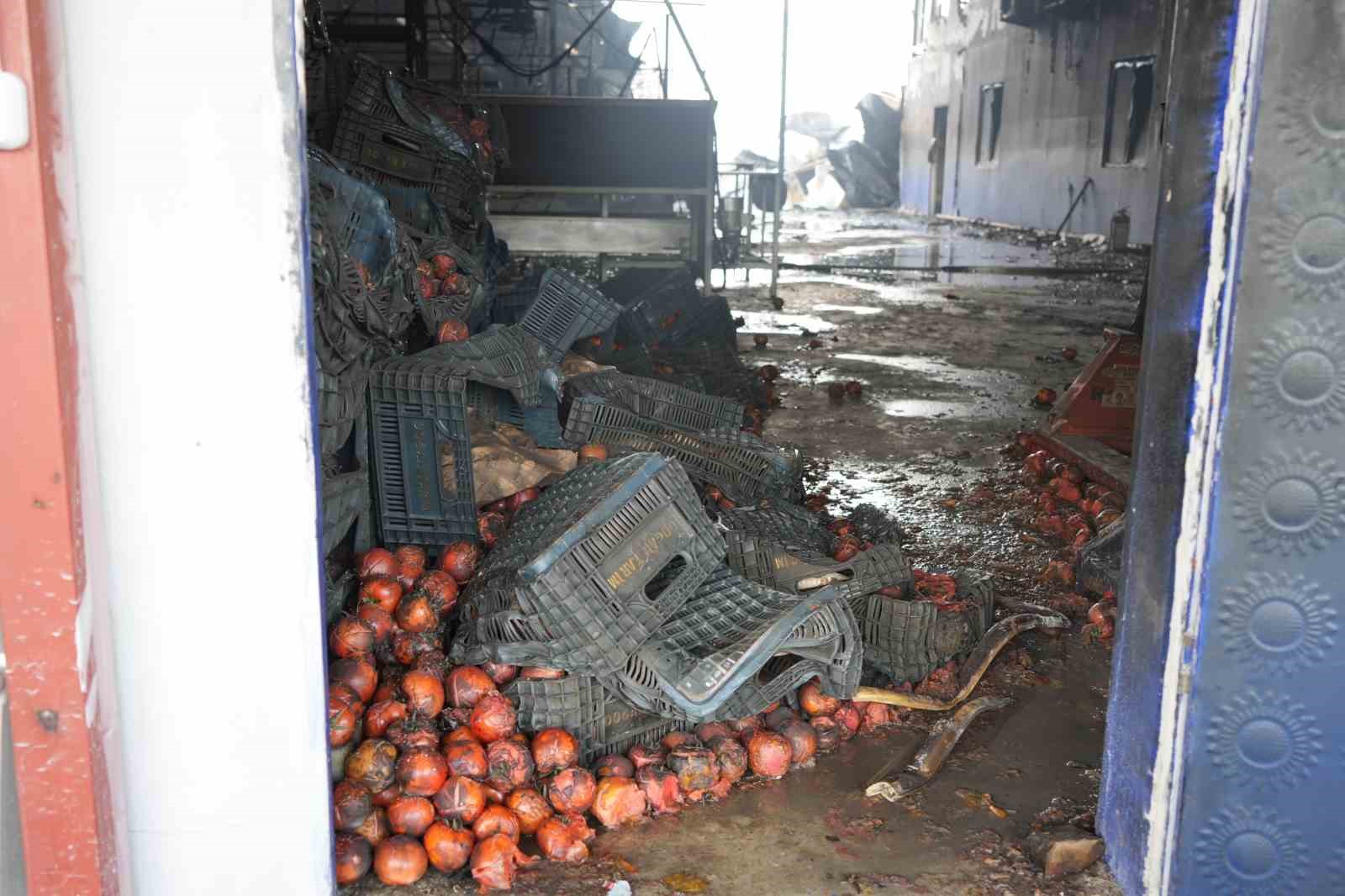 meyve sebze paketleme fabrikasi yanginindaki hasar gun agarinca ortaya cikti 6 flQHRpdw