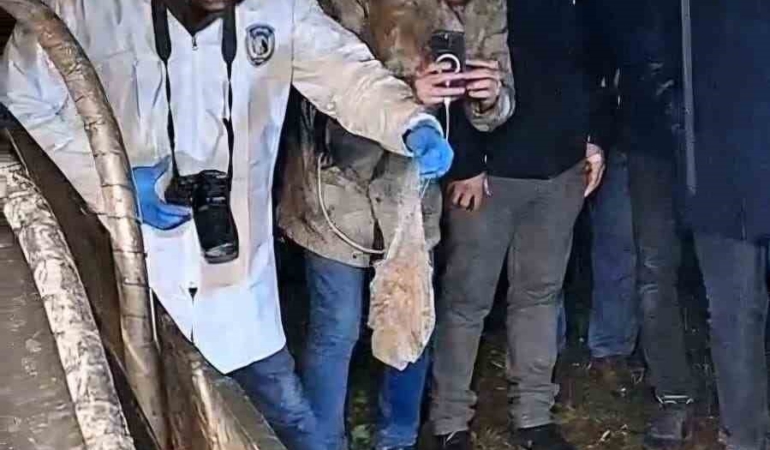 mezarliga-gomulen-esrarengiz-paket-mahalleliyi-ayaga-kaldirdi-TIJQIjhS.jpg