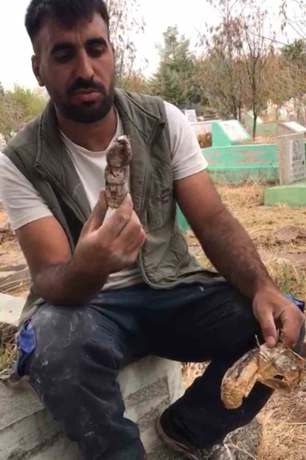Mezarlıktan kefenlenmiş oyuncak bebek çıktı 7 mezarliktan kefenlenmis oyuncak bebek cikti 3 G9YZBhgy