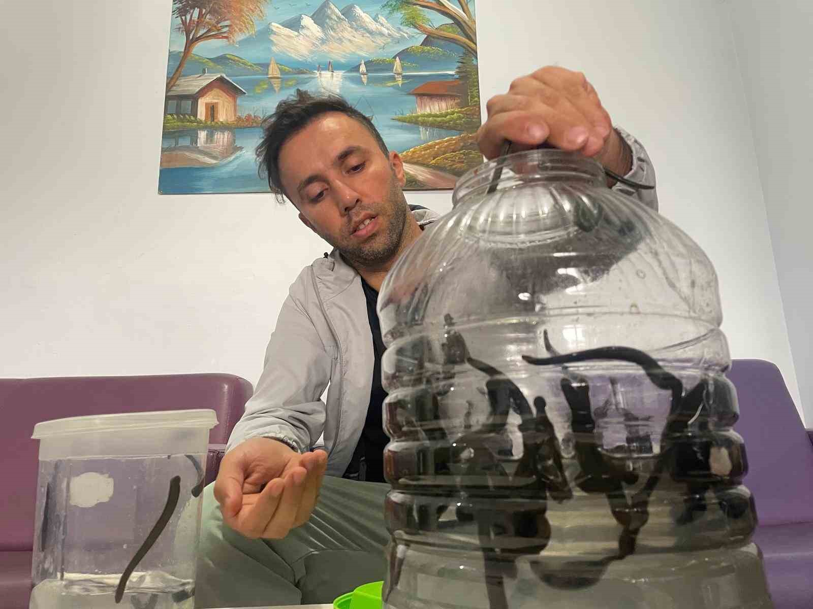 mezbaha kaniyla besleniyor bircok hastaliga sifa oluyorlar 4 igWFcPhJ