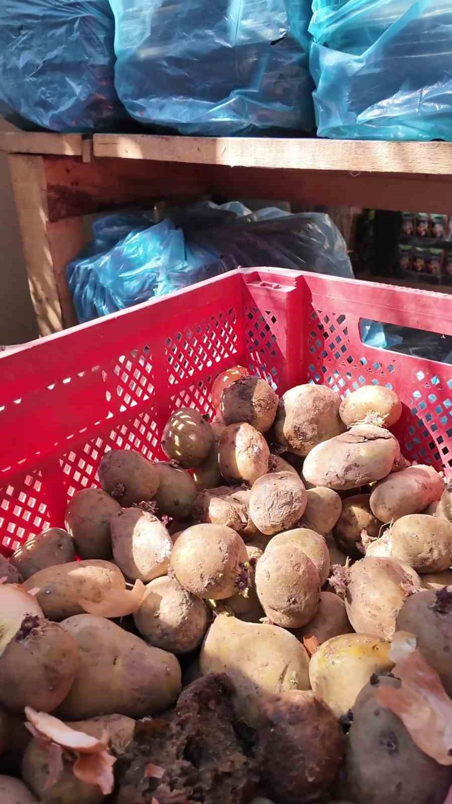 mide bulandiran tencerenin bulundugu yemekhane mutfaginda uzerinde sinekler ucusan curumus patatesler zabita ekiplerini hayrete