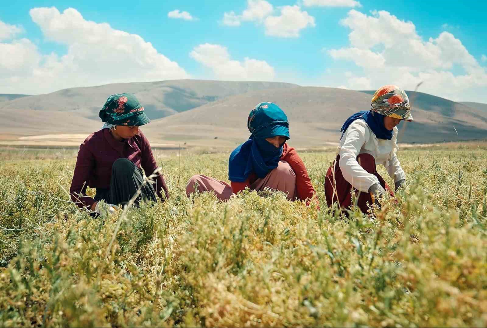 migrosun onarici tarim projesi dunyaya ornek gosterildi 1 8cvUEIIt