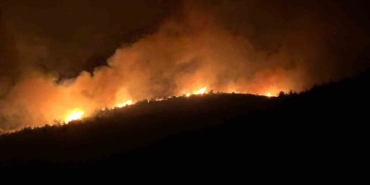 milasta-alevler-geceyi-aydinlatti-8SPwxtq7.jpg