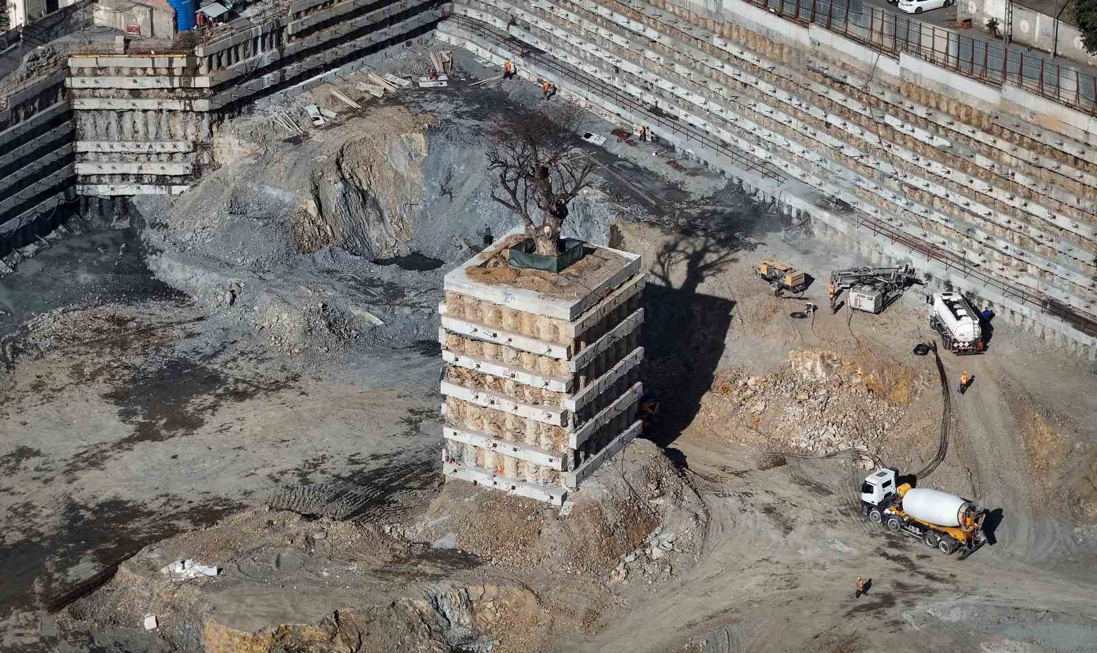 milyarlik projede tarihi agaca fore kazikli koruma 0 pzVurE3R