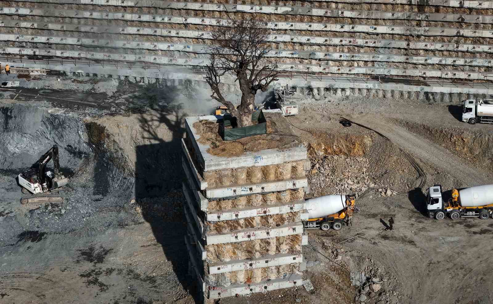 milyarlik projede tarihi agaca fore kazikli koruma 1 bewBG1si